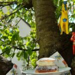 Semla, gâteau typique suédois