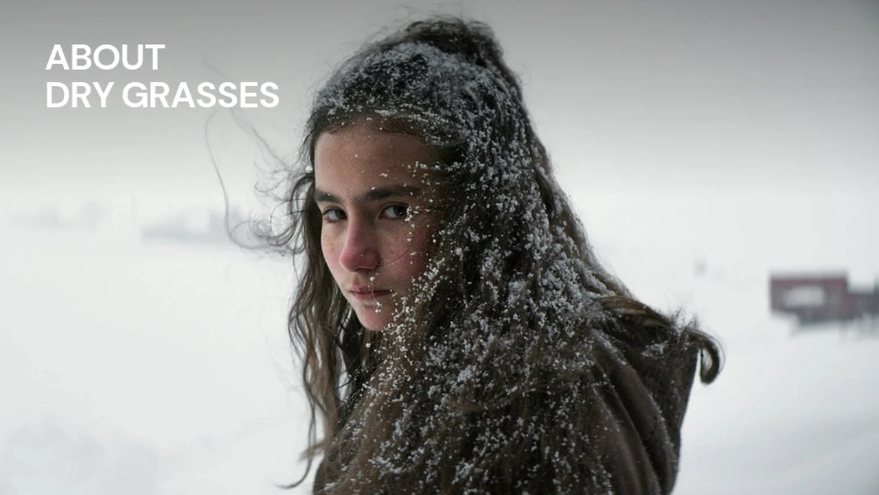 Retour sur 5 cinéastes turcs qui ont marqué les esprits